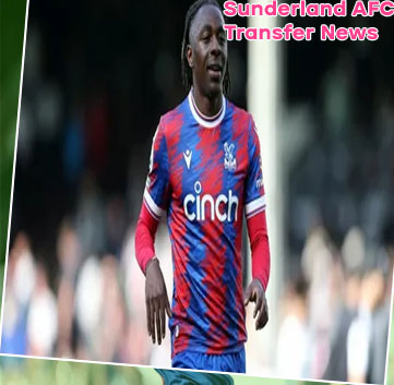 Crystal palace transfer news now