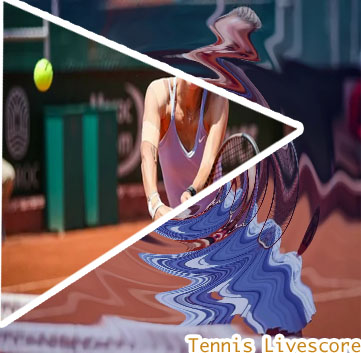 Wta tennis results